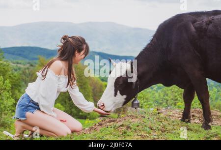 Frau, die Kuh füttert. Bauernmädchen mit holsteinkuh auf Wiese. FarmerVegan, vegetarisches Konzept. Genießen Sie Gemüse. Gesunde Lebensweise, Bio-Feld milka. Stockfoto