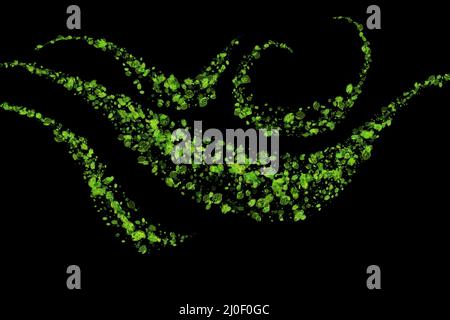 Abstract Eco frisches grünes Feld gewellte Linien Wolke aus Zeichnung Blätter isoliert auf schwarzem Hintergrund. Illustration für den gesunden Frühling Stockfoto