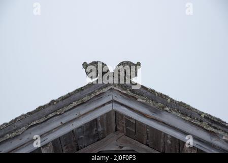 Das Vest-Telemark Museum zeigt alte Bauernhäuser aus Telemark in Norwegen. Stockfoto