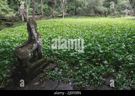 Eine löwenförmige Skulptur an der Seite eines Reservoirs nordöstlich zum Preah Khan Tempel. Teiche, Kanäle und Stauseen im Archäologischen Park von Angkor wurden gebaut, um eine alte Zivilisation des Khmer-Reiches zu unterstützen. Die größte und bevölkerungsreichste Stadt der Welt, in der bis zu 900.000 Menschen lebten, bis Kriege und Klimakatastrophen im 14. Und 15. Jahrhundert sie zur Aufgabe gezwungen hatten. Credits: PACIFIC Imagica/Alamy Stockfoto