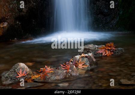 Wasserfall und See im Herbst. Millomery Waterfal Troodos Berge Zypern Stockfoto