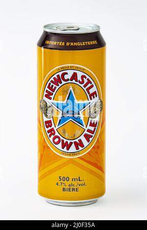 Calgary, Alberta, Kanada. 08. Juni 2020. Eine isolierte Newcastle Brown Ale Tallboy Beer Dose auf weißem Hintergrund. Stockfoto