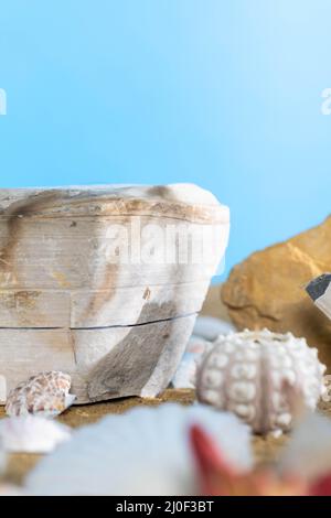 Viele verschiedene Schneckenmuscheln liegen an einem heißen Tag am Sandstrand gegen den blauen Himmel. Stockfoto