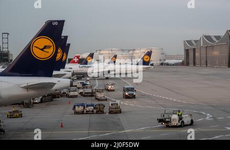 Flugzeuge der Lufthansa auf der Start- und Landebahn im Terminal 1 des Frankfurter Flughafens Stockfoto