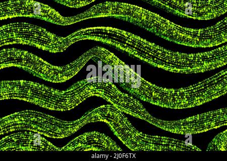 Abstrakter Hintergrund voller glühender grüner Wellenlinien, die aus Partikeln bestehen, die auf einem schwarzen Raum fliegen. Overlay-Schicht für Ihr Design Stockfoto