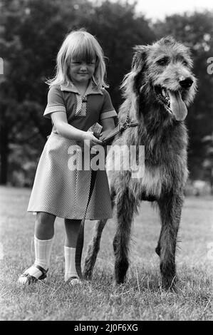 Die 5-jährige Billie Joe Hibberd aus Wood Green, London, scheint immer Probleme zu haben, wenn sie ihren Irish-Wolfhound 'Milligan' zu einem Spaziergang bringt. Sie sind im Hyde Park abgebildet. 12.. September 1979. Stockfoto