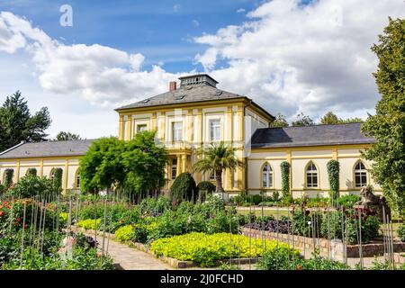 Palmengarten in Frankfurt am Main Stockfoto