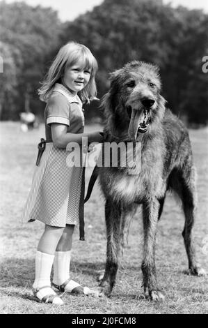 Die 5-jährige Billie Joe Hibberd aus Wood Green, London, scheint immer Probleme zu haben, wenn sie ihren Irish-Wolfhound 'Milligan' zu einem Spaziergang bringt. Sie sind im Hyde Park abgebildet. 12.. September 1979. Stockfoto