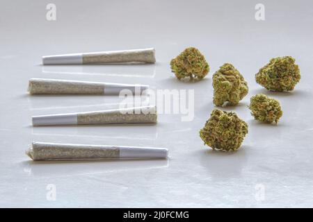 Pre-Rolls Cannabis Gelenke und getrocknete Blume Marihuana auf einem klaren Hintergrund Stockfoto