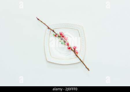 Blühender Zweig eines Pfirsichs mit rosa Blüten auf einer weißen Untertasse auf weißem Hintergrund Nahaufnahme, oben Stockfoto