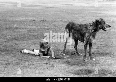 Die 5-jährige Billie Joe Hibberd aus Wood Green, London, scheint immer Probleme zu haben, wenn sie ihren Irish-Wolfhound 'Milligan' zu einem Spaziergang bringt. Sie sind im Hyde Park abgebildet. 12.. September 1979. Stockfoto