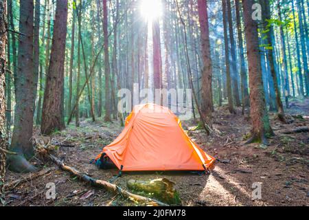 Orangefarbenes Zelt im grünen Wald Stockfoto