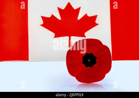 Eine Mohnblume mit einer kanadischen Flagge im Hintergrund. Stockfoto