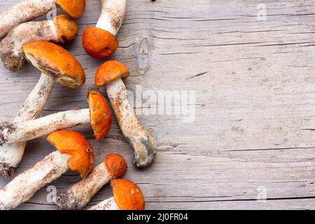 Frische essbare Wildpilze mit orangefarbenem Deckel Boletus (Leccinum aurantiacum) auf dem Old Grey Wooden Backgro Stockfoto