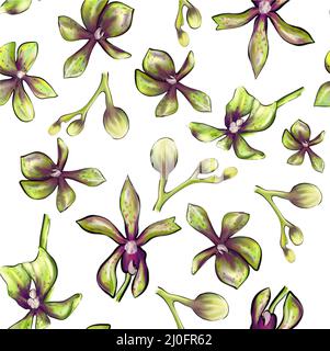 Aquarell Nahtloses Orchideenmuster auf weißem Hintergrund Stockfoto