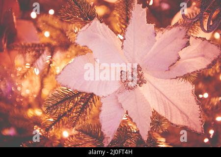 Bunte weihnachtsschmuck und Dekorationen hängen von weihnachtsbaum Stockfoto