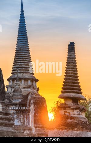 Buddhistischer Tempel Wat Phra Si Sanphet in Ayutthaya bei Sonnenuntergang Stockfoto