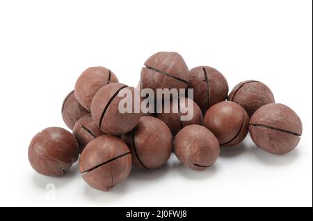 Macadamia-Nüssen Stockfoto