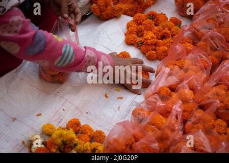 Unerkannte Frau verkauft orange Chrysantheme Blumen. Arbeiter Blumenverkäufer Stockfoto