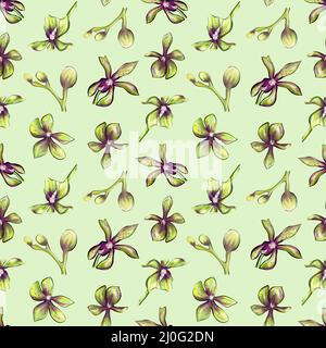Blumen Orchidee auf einem hellgrünen Hintergrund nahtlose Muster Stockfoto