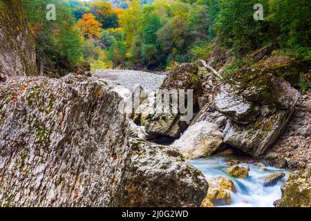 Landschaft mit einem Gebirgsfluss mit smaragdfarbenem Wasser in einer Steinschlucht vor dem Hintergrund eines Herbstwaldes Stockfoto