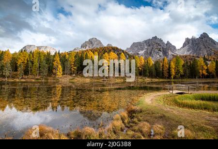 Lago di antorno und dolomiti Bergspiegelung im Herbst. Waldlandschaft Italien Stockfoto