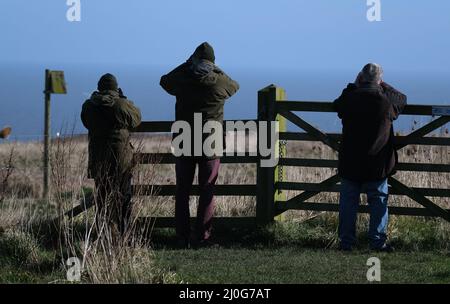 Menschen in Silhoutte mit Blick über den Zaun am Meer. Stockfoto