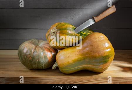 Reife Kürbisse werden auf dem Regal gelagert Stockfoto