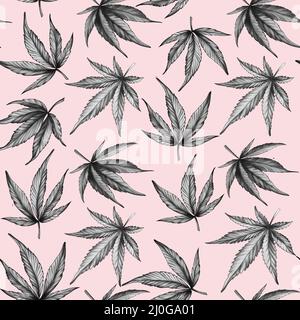 Cannabismuster auf einem rosa Hintergrund. Hanfblätter auf einem rosa Hintergrund. Stockfoto