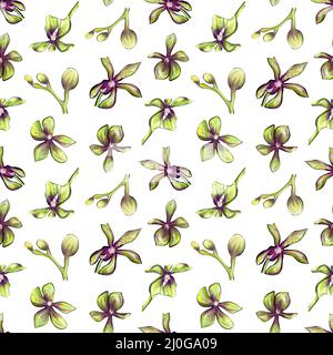 Nahtloses botanisches Muster einer Orchidee auf weißem Hintergrund Stockfoto