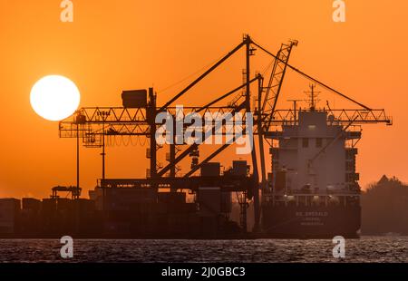 Tivoli, Cork, Irland. 19.. März 2022.Sunrise kreiert eine Silhouette der Portalkrane und des Containerschiffes BG Emerald am Tivoli dockt in Cork, Irland. - Credit; David Creedon / Alamy Live News Stockfoto