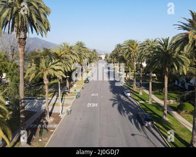 Luftaufnahme der von Palmen gesäumten Straße im Viertel Pasadena in Kalifornien Stockfoto