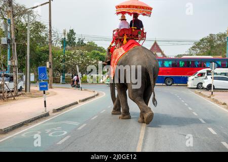 Touristenreiter auf Elefanten auf der Stadtstraße Stockfoto