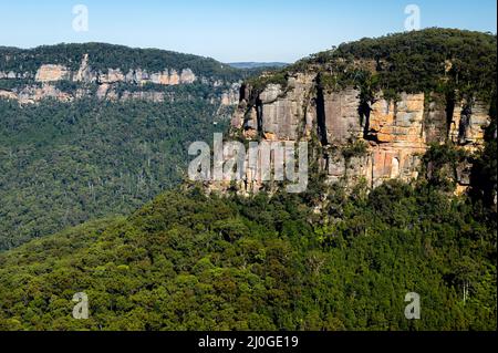 Berühmtes Jamison Valley im Blue Mountains National Park. Stockfoto