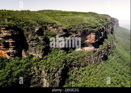 Berühmtes Jamison Valley im Blue Mountains National Park. Stockfoto