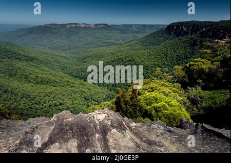 Berühmtes Jamison Valley im Blue Mountains National Park. Stockfoto