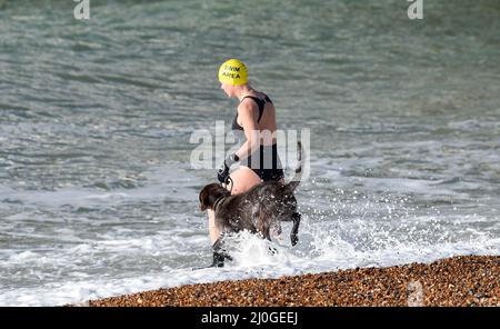 Brighton UK 19. March 2022 - dieser Hund und sein Besitzer genießen ein Bad an einem schönen sonnigen Morgen auf Brighton Strand an dem, was erwartet wird, dass der wärmste Tag des Jahres bisher mit einigen Teilen von Großbritannien sind prognostiziert, um die hohen Teenager Grad erreichen : Credit Simon Dack / Alamy Live News Stockfoto