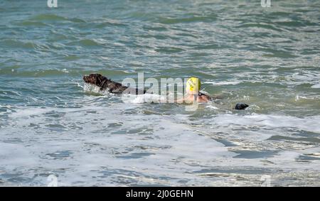 Brighton UK 19. March 2022 - dieser Hund und sein Besitzer genießen ein Bad an einem schönen sonnigen Morgen auf Brighton Strand an dem, was erwartet wird, dass der wärmste Tag des Jahres bisher mit einigen Teilen von Großbritannien sind prognostiziert, um die hohen Teenager Grad erreichen : Credit Simon Dack / Alamy Live News Stockfoto