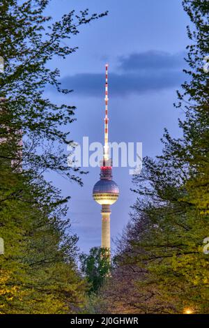 Der berühmte Fernsehturm in Berlin bei Nacht durch einige Bäume gesehen Stockfoto