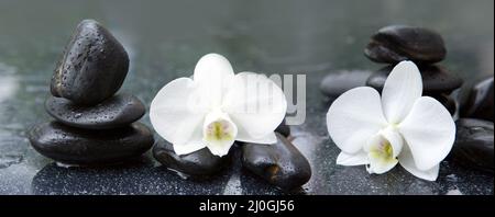 Weiße Orchideenblüten und Stein mit Wassertropfen isoliert Stockfoto