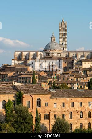 Mittelalterliche Stadt Siena und der Dom von siena, Toskana, italien Stockfoto