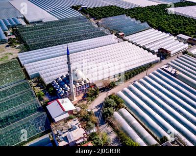 Luftaufnahme von Gewächshausfeldern der Grünplantage in Demre - Provinz Antalya in der Türkei Stockfoto