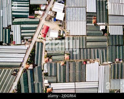 Luftaufnahme von Gewächshausfeldern der Grünplantage in Demre - Provinz Antalya in der Türkei Stockfoto