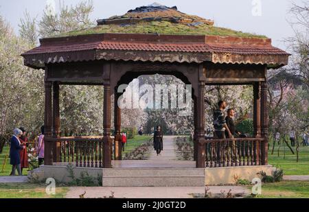19. März 2022, Srinagar, Jammu und Kashmir, Indien: Am 19. März 2022 in Rainawari, im Srinagar-Distrikt des von Indien verwalteten Kaschmir, genießen die Menschen Mandelblüten im Badamwaer Garden. Stockfoto
