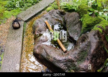 Kleiner japanischer Garten mit Wasserbrunnen und Bambusstöcken, die den Eingang eines alten Samurai-Hauses in Kanazawa, Japan schmücken Stockfoto