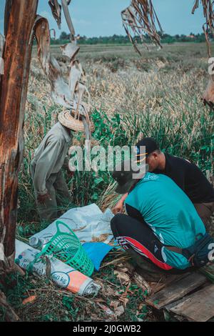 Reismühlen, die von Landwirten in Indonesien durchgeführt werden Stockfoto