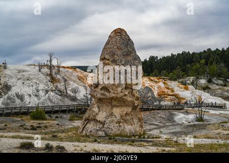 Der Liberty Cap-Thermalkegel im Yellowstone-Nationalpark, Wyoming Stockfoto