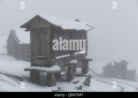 Espigueiro traditionelle Struktur für die Lagerung von Mais auf einer schneeweißen Winterlandschaft mit Schnee fallen im Norden Portugals Stockfoto