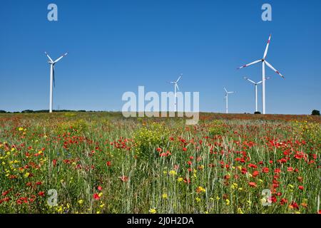 Windturbinen und eine blühende Wiese in Deutschland Stockfoto