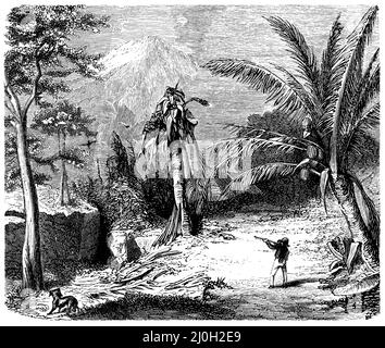 Exit from the Death Valley on Java, , (Geography book, 1885), Australien aus dem Todestal auf Java, Sortie de la vallée de la mort à Java Stockfoto